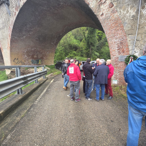 d31897c0-18ff-4e13-8522-81f216148584